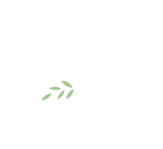 (CKMS sunflower logo on teal background with rounded corners)