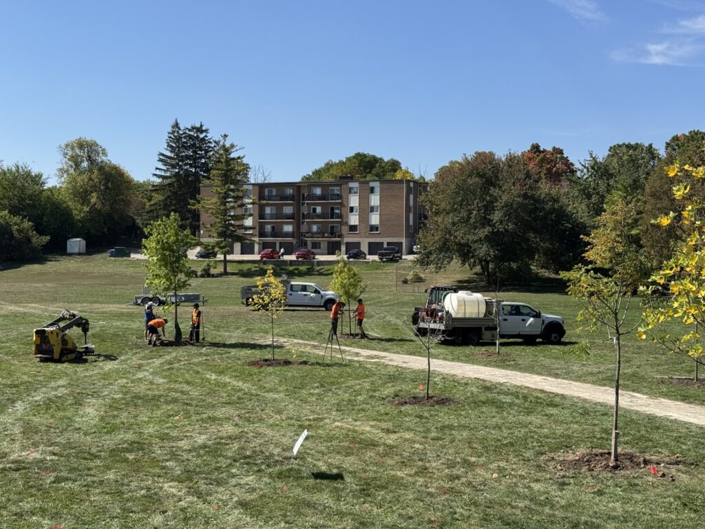 A wide-angle shot of city workers finishing up planting trees in a city park. An apartment building is at the back of the park.