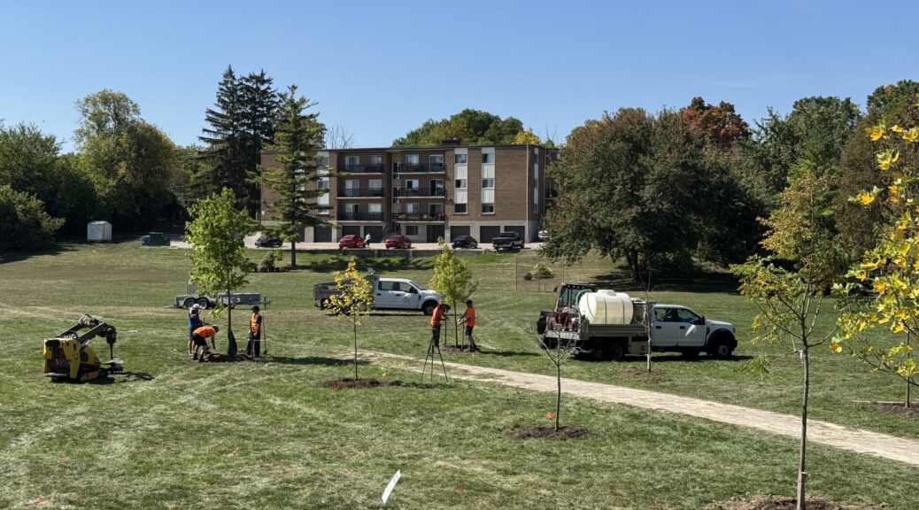 A wide-angle shot of city workers finishing up planting trees in a city park. An apartment building is at the back of the park.